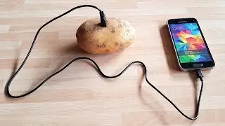 Mobile Charger Making By Potato - DIY Portable Powerbank