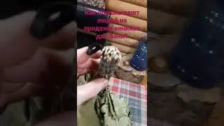 Как обманывают людей на продаже веников для бани. 