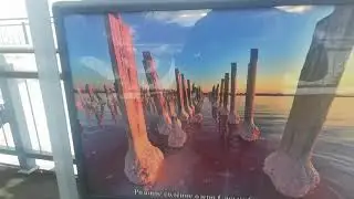 Утки на юг улетать не хотят