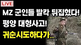 北,MZ군인들 발칵 뒤집혔다! 평양 대형사고! 귀순시도 하다가!