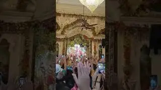 Shri Radha Shyam Sundar Bhagwan Iskcon Vrindavan 🙏🌸