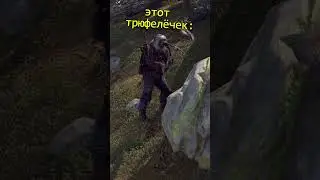 фармила в RUST / РАСТ  