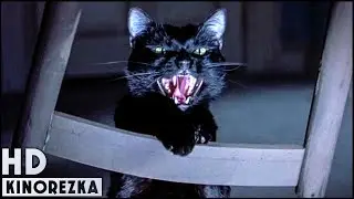 Очень страшное кино 2 ►Я знаю, что вы злитесь, мистер Кот. Я не хотела какать в вашу коробку.