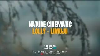 CINEMATIC NATURE FOOTAGE MUSIC - LOLLY LIMUJII