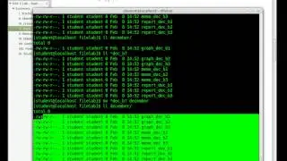 Tutorial: How to Perform File and Directory Operations (Alternative)