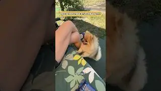 Зря рожала что-ли не пойму😂 