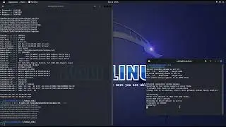 Hashcat md5