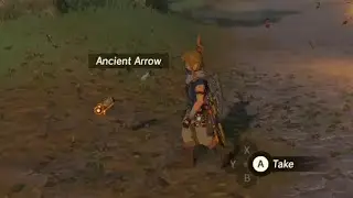 2 NEW Botw Glitches i might’ve found!