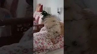 VID 20220324 WA0000