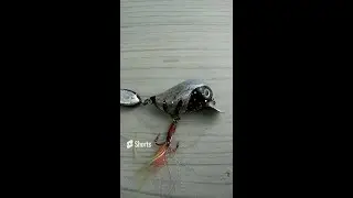 Сделал новую игрушку для щуки.#Shorts