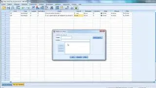 Formation SPSS : Codage et analyse d'une question conditionnelle