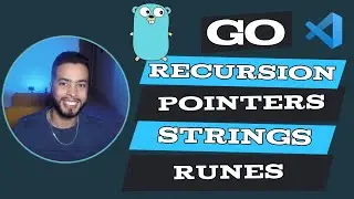 Learning Go - Recursion, Pointers, Strings & Runes #5