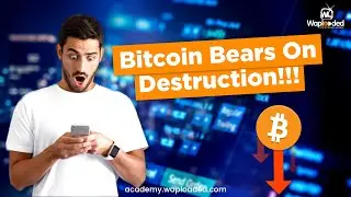 Bitcoin Price Prediction Today (What to Expect)