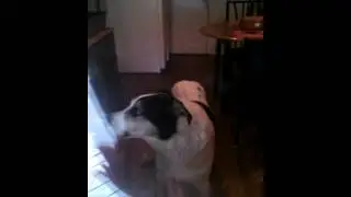 Luke When I Came Home From Work