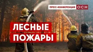 «ЛЕСНЫЕ ПОЖАРЫ»