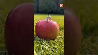 Приключение микрочелика