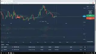 Торговая стратегия Крокодил Данди   как торговать