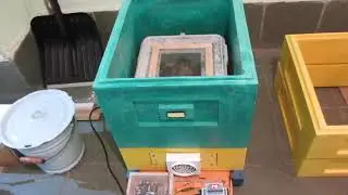 Инкуботор для Восковой моли