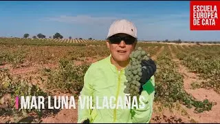 Vendimia 2022 con Mar Luna en Castilla La Mancha