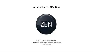 ZEN Blue - Tutorial 1 - Introduction