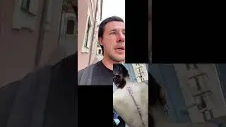 Как сделать красивую надпись тату