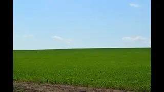 Время перед летним зноем