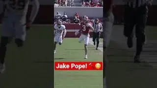 Its only a spring game! 🔨😳 Jake Pope with a massive hit on Jermaine Burton on A-Day