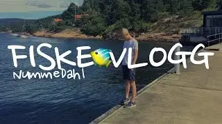 FISKE VLOGG | NummeDahl