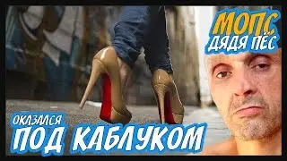 МОПС ОКАЗАЛСЯ ПОД КАБЛУКОМ