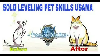 Toram online - SOLO LEVELING SKILLS PET 