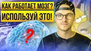 Психология в маркетинге. Как работает мозг? Скрытые коды рекламы.