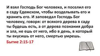Библия, Ветхий Завет. Бытие 