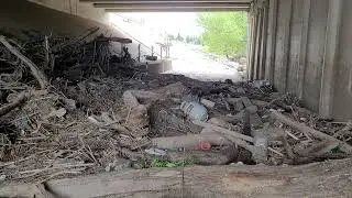 Bike path in San Jose still filled with storm debris