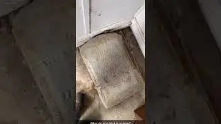 Nothing to see here