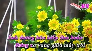 Hoa Xương Rồng KARAOKE ORGAN FULL HD   Organ BM