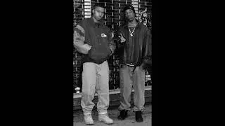 [FREE] Nas x DJ Premier Type Beat - 