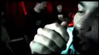 Dead Fish - Tango