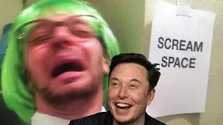 Musk Derangement Syndrome