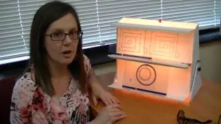 What Is A Vectogram And What Is It For In Vision Therapy?