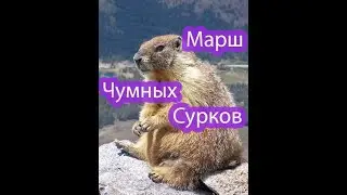 ARAGAMI - Чумные сурки
