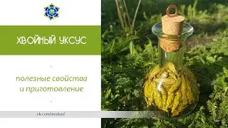 Хвойный уксус