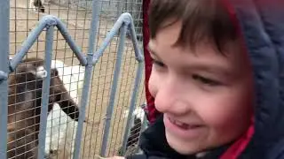 Одесский зоопарк!