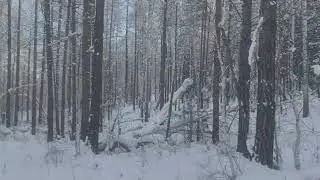 Ходовая охота Тыва 2022-2023