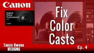 4 Correct Color Casts - Canon DPP 4