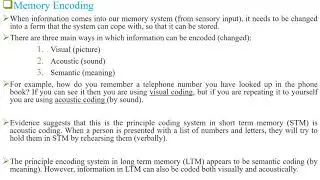 Psycholinguistics - Lesson 12 - Memory