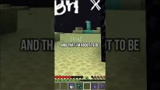 Smartest Minecraft Player (69420+ iq)