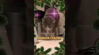 С Новым годом 😀🎄🎁