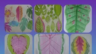 Leaf🍃🌿 #easyart #drawing #sketch #art  #pencilcolour  @amateurask