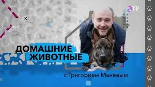 Павел Ижболдин в передаче 