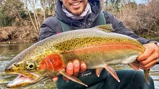 MY FIRST WILD STEELHEAD!!